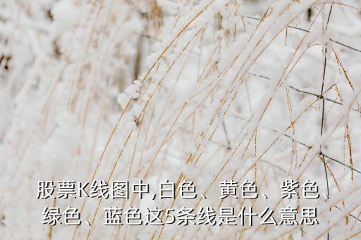  股票K線圖中,白色、黃色、紫色、綠色、藍(lán)色這5條線是什么意思