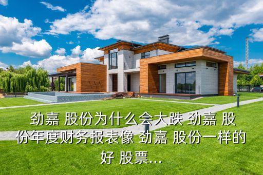  勁嘉 股份為什么會大跌 勁嘉 股份年度財(cái)務(wù)報(bào)表像 勁嘉 股份一樣的好 股票...