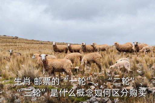  生肖 郵票的“一輪”、“二輪”、“ 三輪”是什么概念如何區(qū)分購(gòu)買