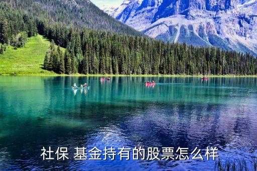 2014社?；鹬貍}(cāng)股,社保基金重倉(cāng)股有哪些