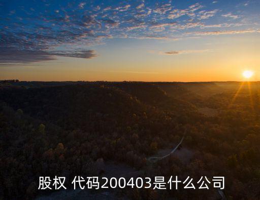  股權 代碼200403是什么公司