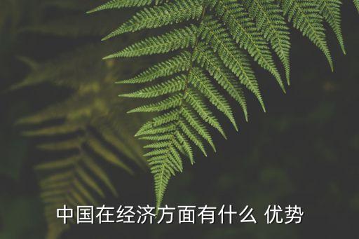 中國在經濟方面有什么 優(yōu)勢