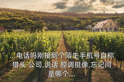 ...電話嗎剛接到個陌生手機號自稱獵頭 公司,說話 腔調挺像,忘記問是哪個...