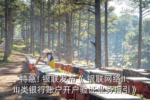 特急! 銀聯(lián)發(fā)布《 銀聯(lián)網(wǎng)絡(luò)II、III類銀行賬戶開戶驗(yàn)證業(yè)務(wù)指引》