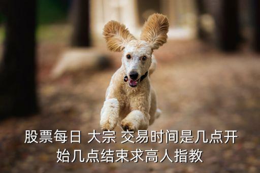 股票大宗交易查詢(xún)