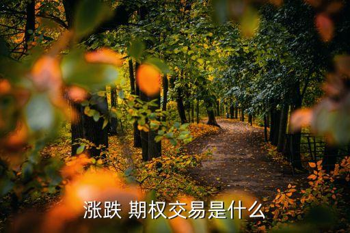 股票延賣期權,股票跟期權做哪個更好
