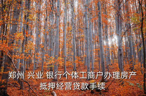鄭州 興業(yè) 銀行個(gè)體工商戶(hù)辦理房產(chǎn)抵押經(jīng)營(yíng)貸款手續(xù)