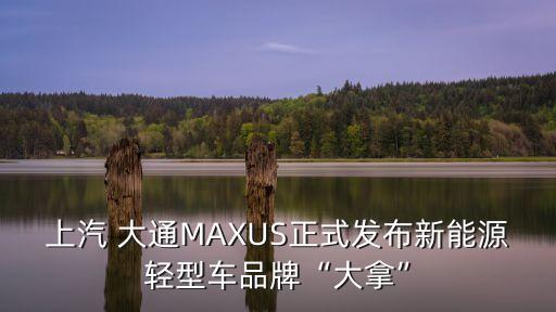 上汽 大通MAXUS正式發(fā)布新能源輕型車(chē)品牌“大拿”