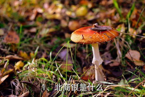 1、北商銀是什么