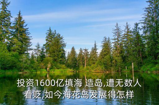 投資1600億填海 造島,遭無數(shù)人看貶,如今?；◢u發(fā)展得怎樣