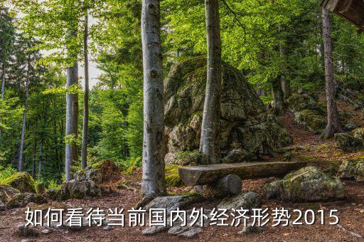 如何看待當(dāng)前國內(nèi)外經(jīng)濟形勢2015