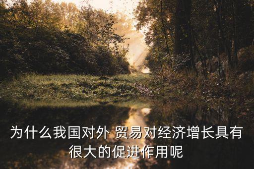 為什么我國對外 貿易對經濟增長具有很大的促進作用呢