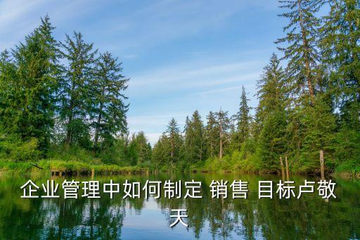 企業(yè)管理中如何制定 銷(xiāo)售 目標(biāo)盧敬天