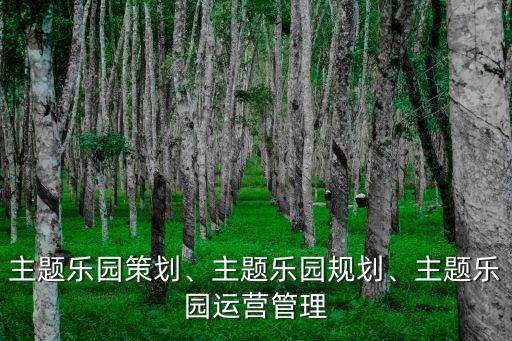 主題樂園策劃、主題樂園規(guī)劃、主題樂園運(yùn)營管理