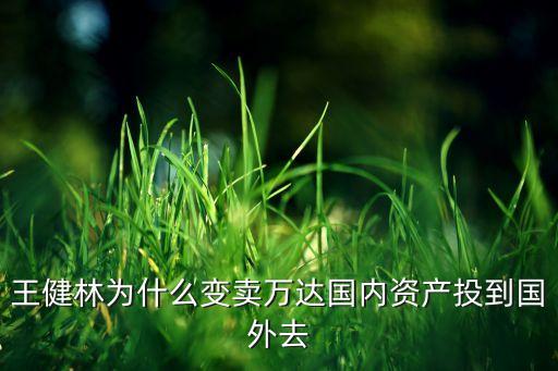 王健林為什么變賣萬達(dá)國(guó)內(nèi)資產(chǎn)投到國(guó)外去