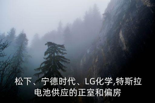  松下、寧德時(shí)代、LG化學(xué),特斯拉電池供應(yīng)的正室和偏房