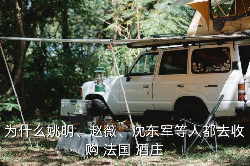 為什么姚明、趙薇、沈東軍等人都去收購(gòu) 法國(guó) 酒莊