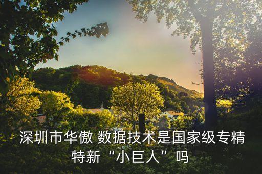 深圳市雅力數(shù)據(jù)有限公司,三河雅力信息技術有限公司