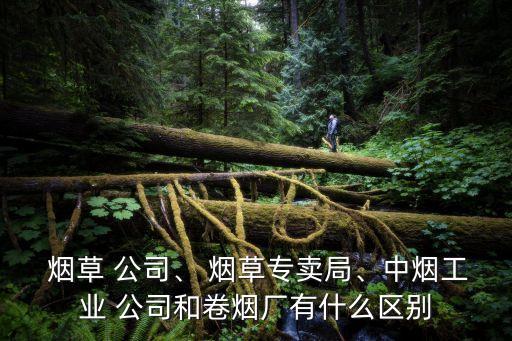  煙草 公司、 煙草專賣局、中煙工業(yè) 公司和卷煙廠有什么區(qū)別