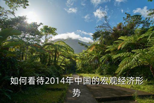 如何看待2014年中國的宏觀經(jīng)濟(jì)形勢(shì)