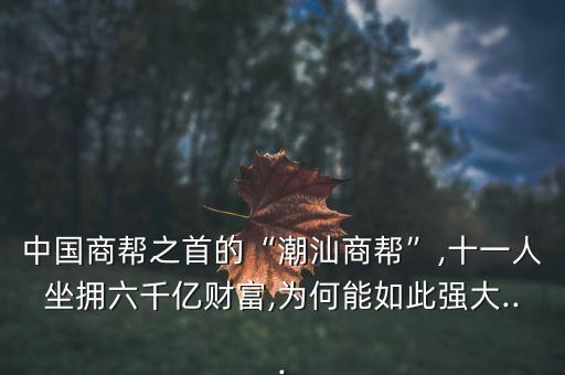 中國(guó)商幫之首的“潮汕商幫”,十一人坐擁六千億財(cái)富,為何能如此強(qiáng)大...