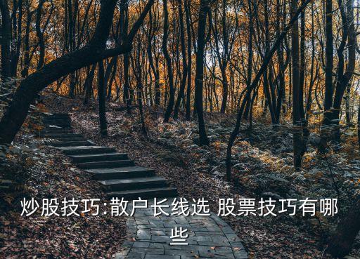 長(zhǎng)線(xiàn)股票怎么買(mǎi),買(mǎi)長(zhǎng)線(xiàn)股票買(mǎi)什么好