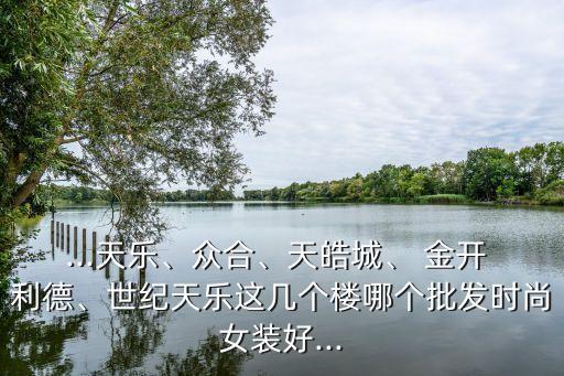 ...天樂、眾合、天皓城、 金開 利德、世紀天樂這幾個樓哪個批發(fā)時尚女裝好...