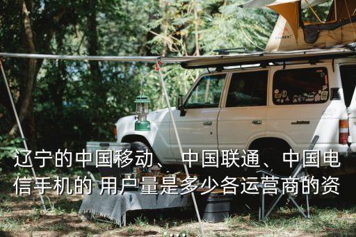 遼寧的中國(guó)移動(dòng)、 中國(guó)聯(lián)通、中國(guó)電信手機(jī)的 用戶量是多少各運(yùn)營(yíng)商的資...