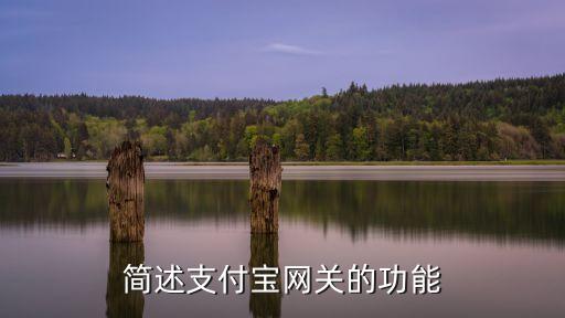 簡述支付寶網(wǎng)關(guān)的功能