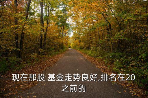 現在那股 基金走勢良好,排名在20之前的