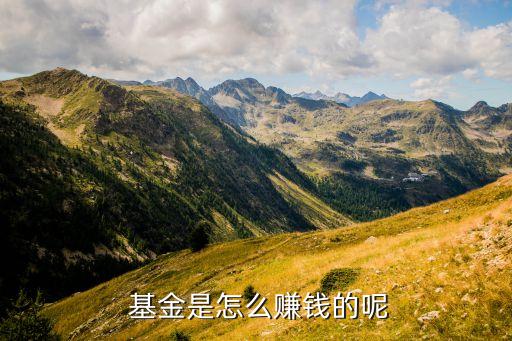 投資基金的收益主要來源有,股權(quán)和并購(gòu)?fù)顿Y基金的收益來源