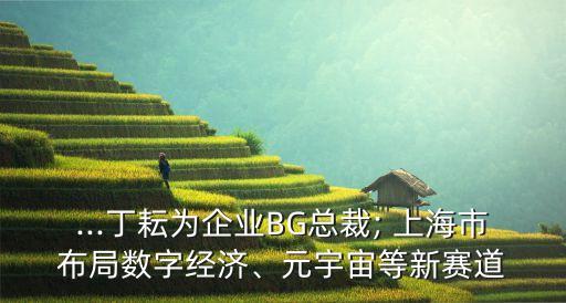 ...丁耘為企業(yè)BG總裁; 上海市布局?jǐn)?shù)字經(jīng)濟、元宇宙等新賽道