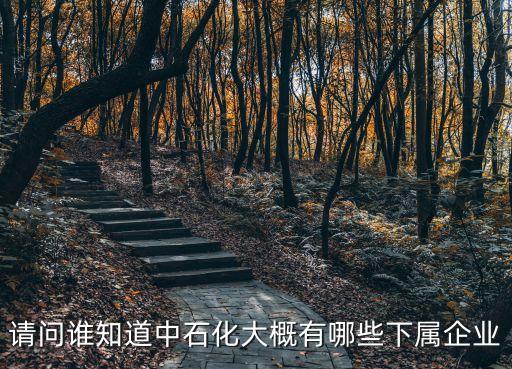 請(qǐng)問(wèn)誰(shuí)知道中石化大概有哪些下屬企業(yè)