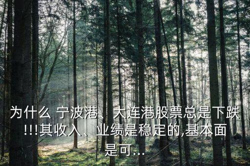 為什么 寧波港、大連港股票總是下跌!!!其收入、業(yè)績(jī)是穩(wěn)定的,基本面是可...