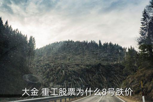  大金 重工股票為什么8號跌價(jià)
