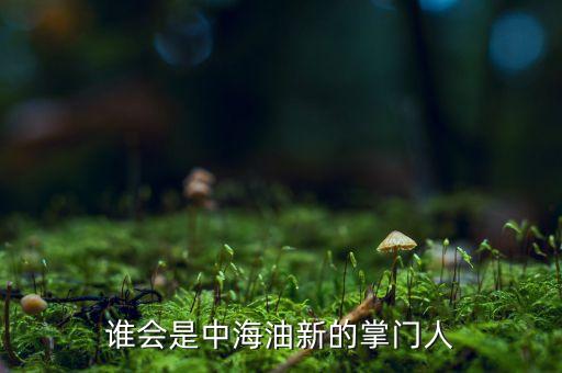 誰(shuí)會(huì)是中海油新的掌門(mén)人