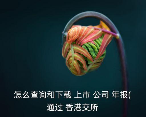 怎么查詢(xún)和下載 上市 公司 年報(bào)(通過(guò) 香港交所