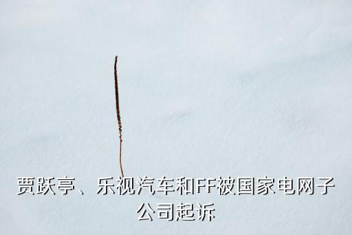 賈躍亭、樂視汽車和FF被國家電網(wǎng)子公司起訴