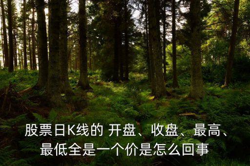  股票日K線的 開盤、收盤、最高、最低全是一個(gè)價(jià)是怎么回事