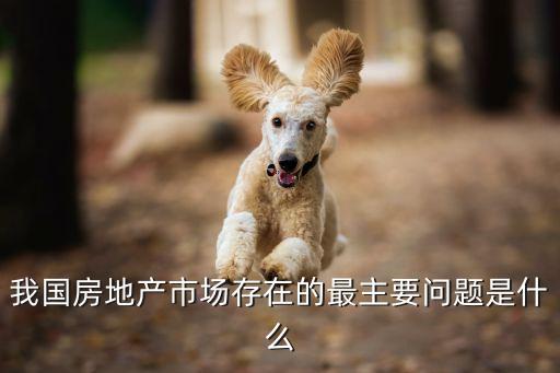 我國房地產市場存在的最主要問題是什么
