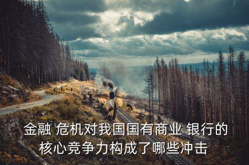  金融 危機(jī)對(duì)我國(guó)國(guó)有商業(yè) 銀行的核心競(jìng)爭(zhēng)力構(gòu)成了哪些沖擊
