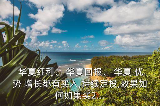  華夏紅利、 華夏回報、 華夏 優(yōu)勢 增長都有買入,持續(xù)定投,效果如何如果買2...