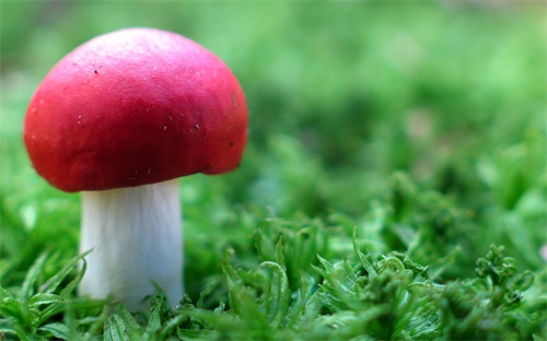 南京多少資產財務自由,5000萬資產算財務自由嗎